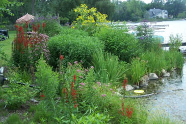 Middle Lake Shoreline