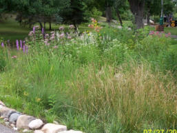  Depot Park Rain Garden