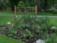 2009 Expansion area of rain garden