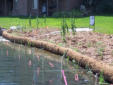 Aquatic plants and Fowl fencing