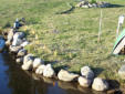 Eroded shoreline with only grass