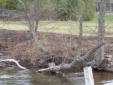 Lakeside view of post invasive burn